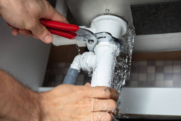 Best Mold removal after water damage  in Herculaneum, MO