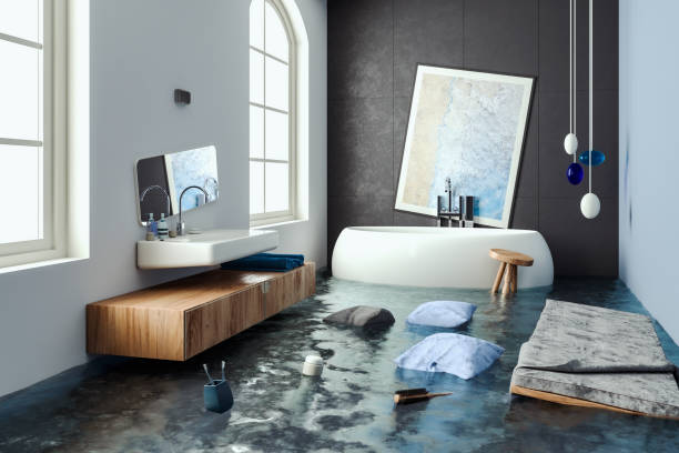 Best Mold removal after water damage  in Herculaneum, MO