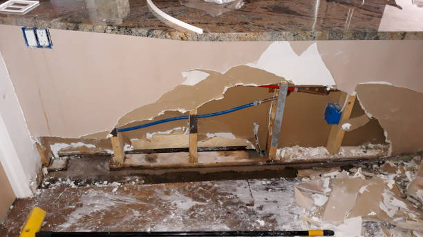 Best Water damage restoration near me  in Herculaneum, MO