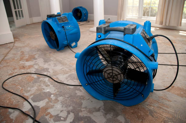 Best Ceiling water damage repair  in Herculaneum, MO
