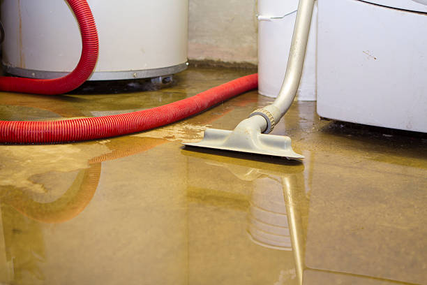 Best Commercial water damage restoration  in Herculaneum, MO