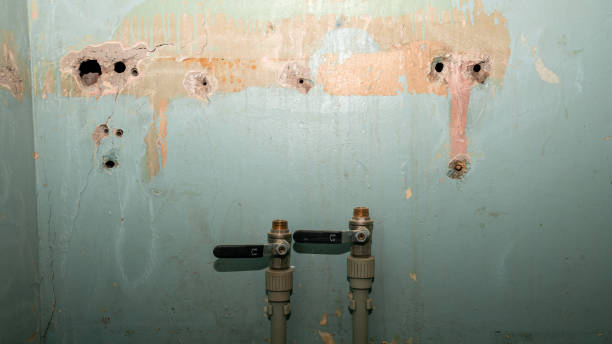 Best Water damage restoration near me  in Herculaneum, MO