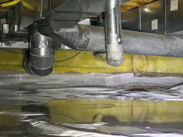 Best Residential water damage restoration  in Herculaneum, MO