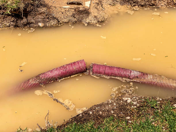 Best Basement water damage restoration  in Herculaneum, MO