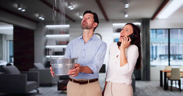 Best Flooded house restoration  in Herculaneum, MO