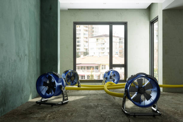 Best Water damage restoration specialists  in Herculaneum, MO