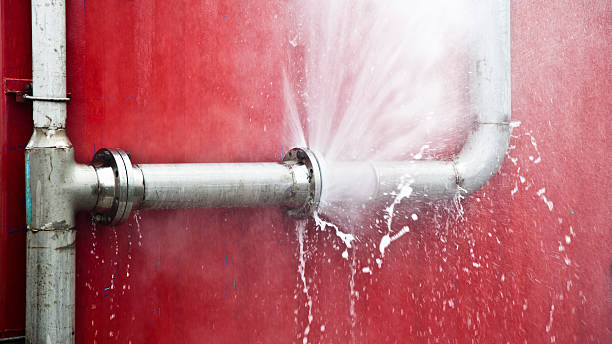 Best Water damage restoration process  in Herculaneum, MO