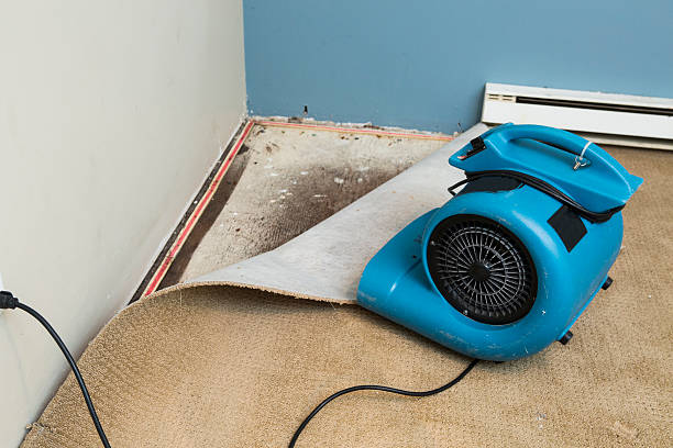 Water damage restoration mold remediation in Herculaneum, MO